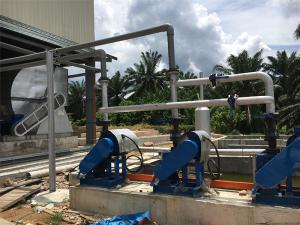 生物質(棕櫚殼)鍋爐除塵項目